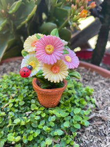 Daisy Pot