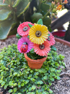 Daisy Pot