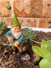 Load image into Gallery viewer, Garden Gnome with Spade
