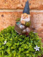 Load image into Gallery viewer, Garden Gnome with Watering Can
