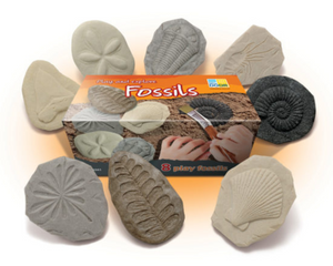 Fossils - Let's Investigate