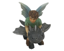 Load image into Gallery viewer, Fairy Draco with Dragon
