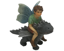 Load image into Gallery viewer, Fairy Draco with Dragon
