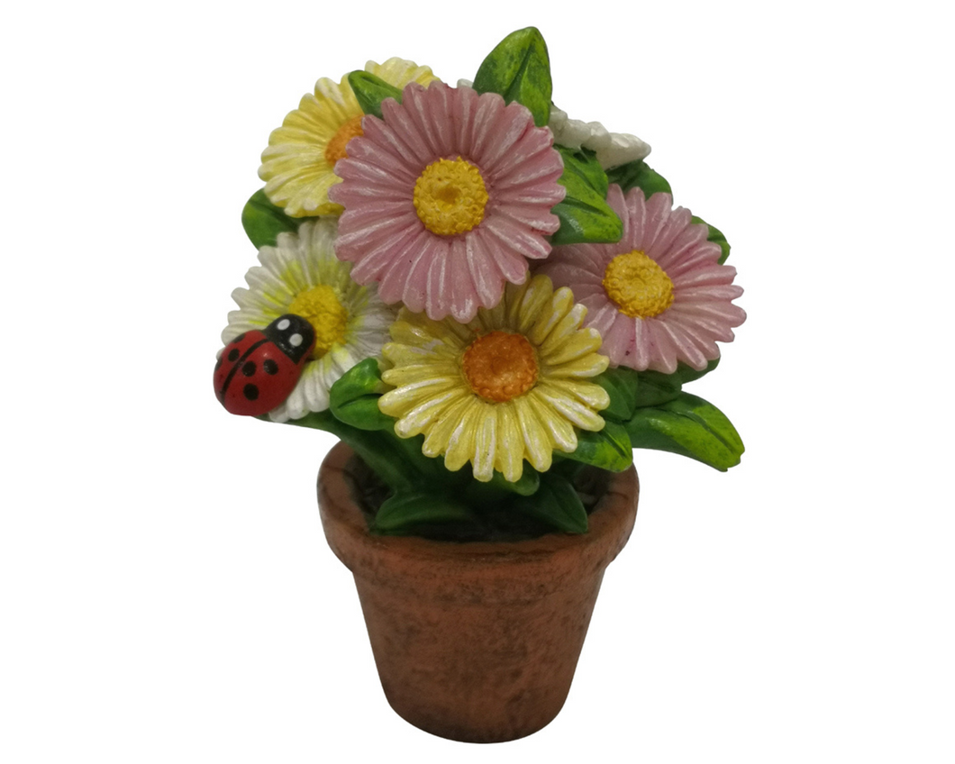 Daisy Pot