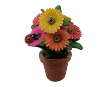 Load image into Gallery viewer, Daisy Pot
