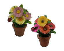 Load image into Gallery viewer, Daisy Pot
