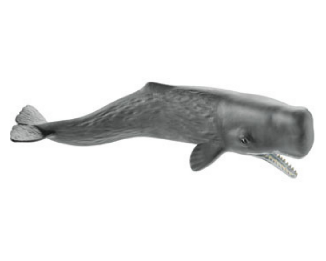 Sperm whale - Schleich