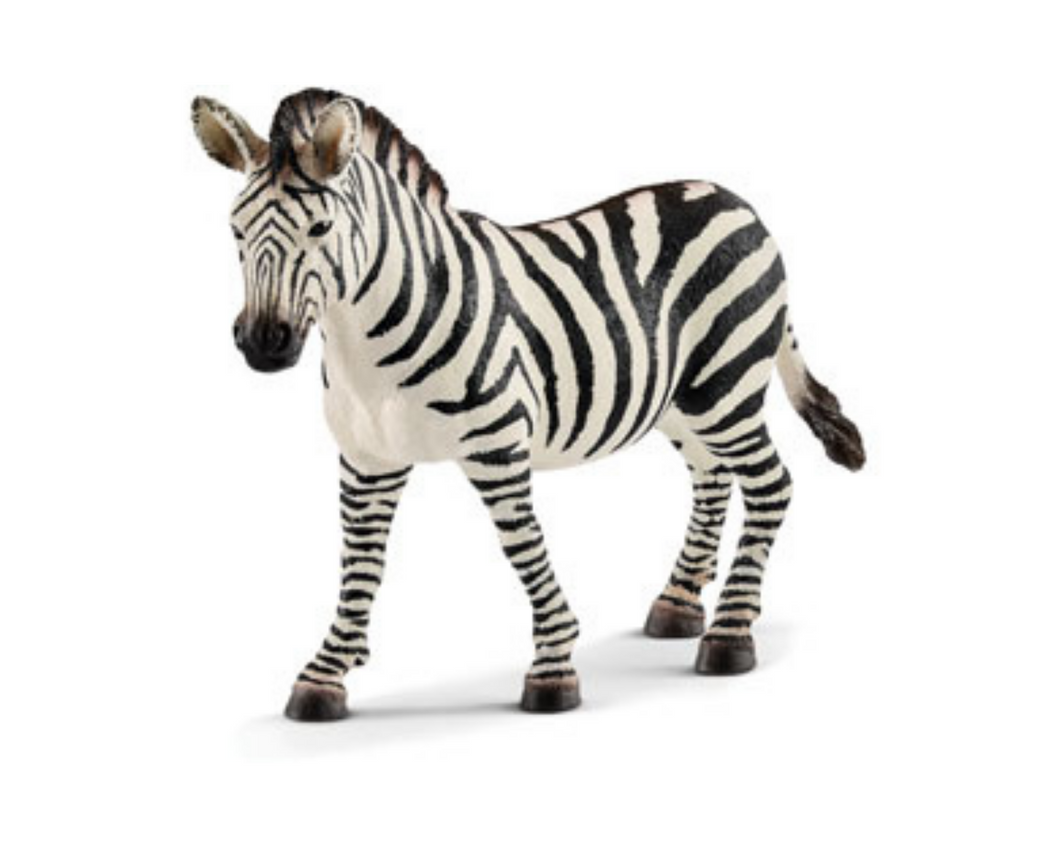 Zebra female - Schleich