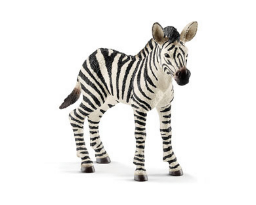 Zebra foal - Schleich